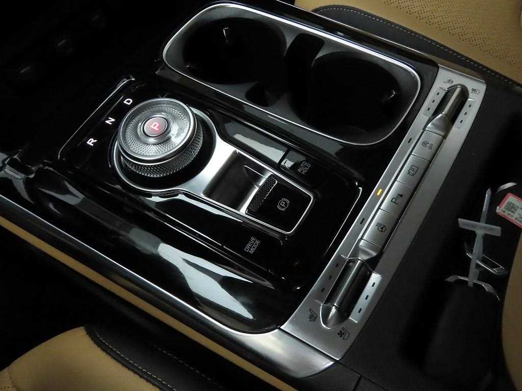 KIA Carnival - Vista 10