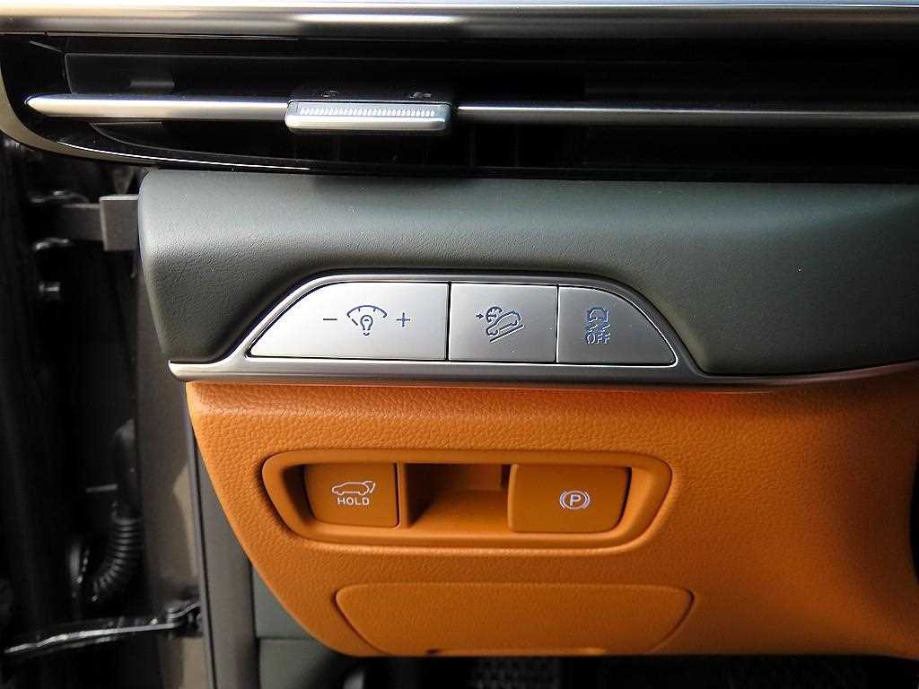 Genesis GV80 - Vista 12