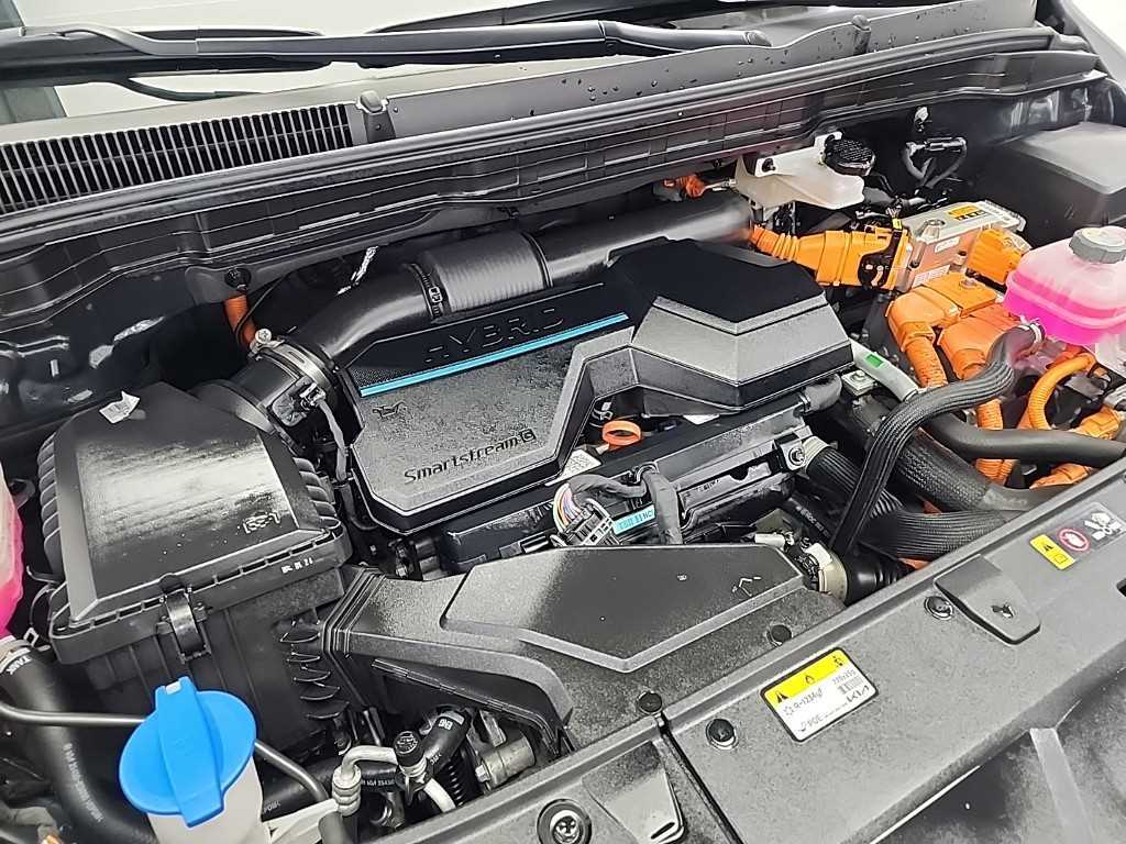 KIA Carnival - Vista 6