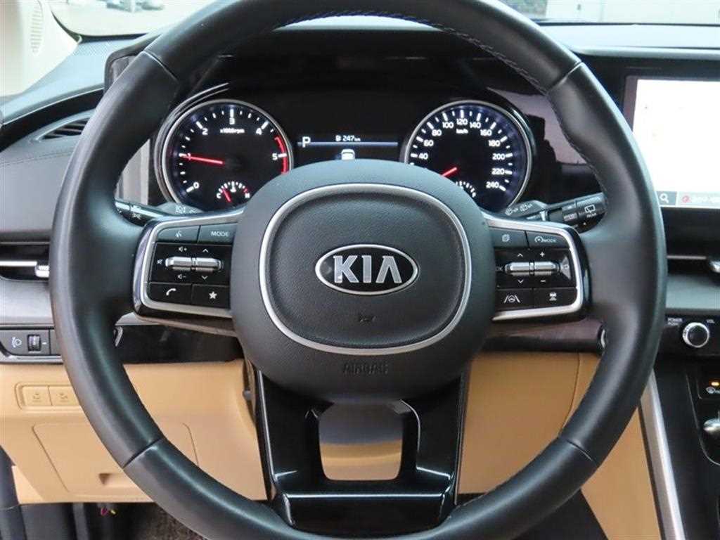 KIA Carnival - Vista 10