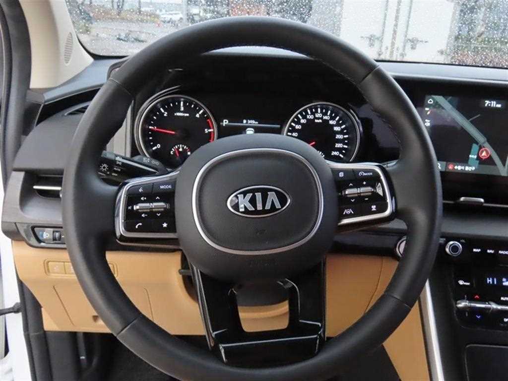 KIA Carnival - Vista 10