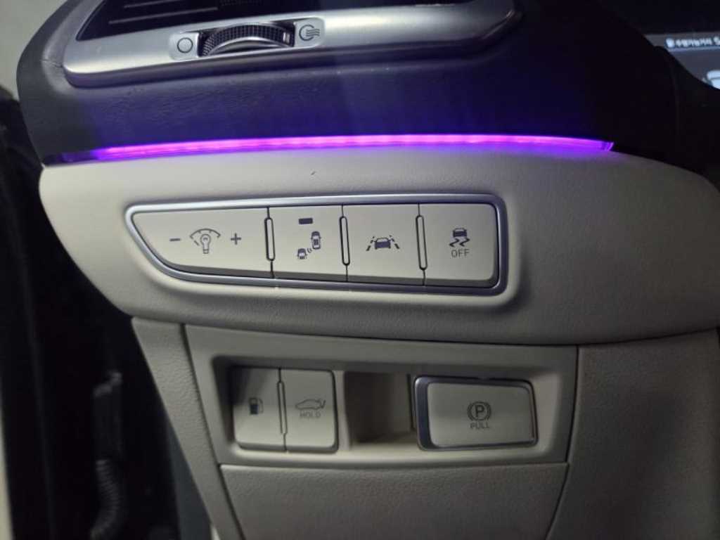 Genesis G90 - Vista 6