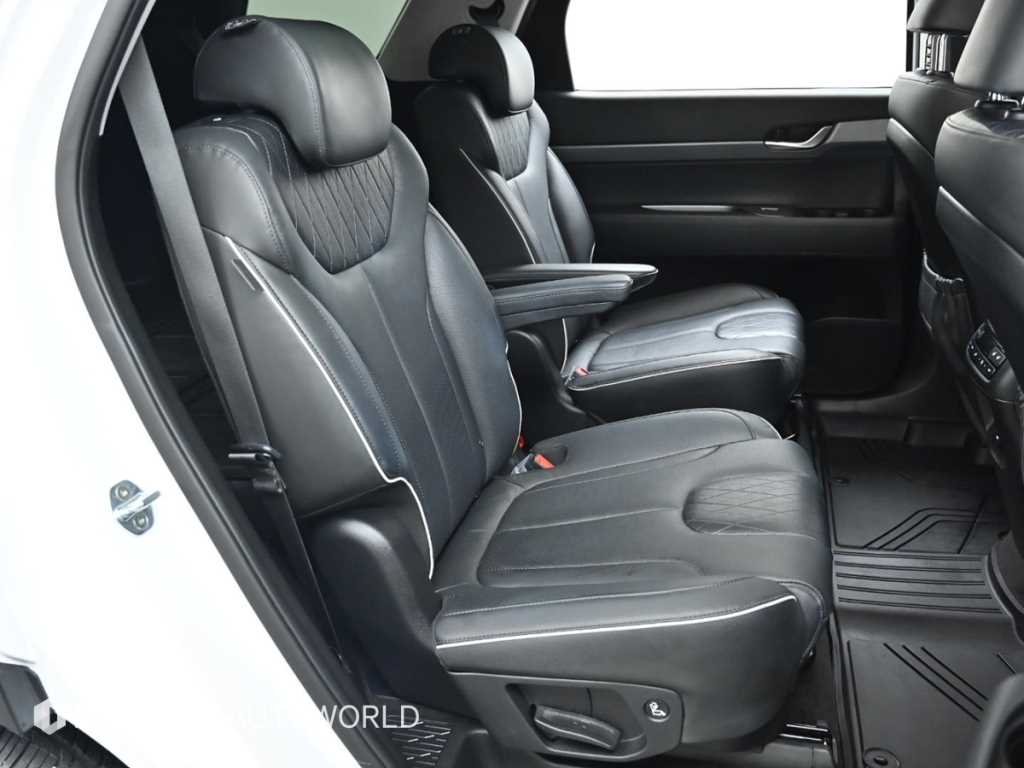 HYUNDAI Palisade - Vista 12