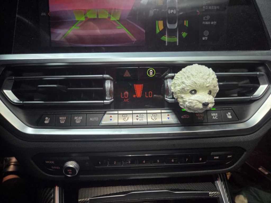 BMW 4 Series - Vista 9