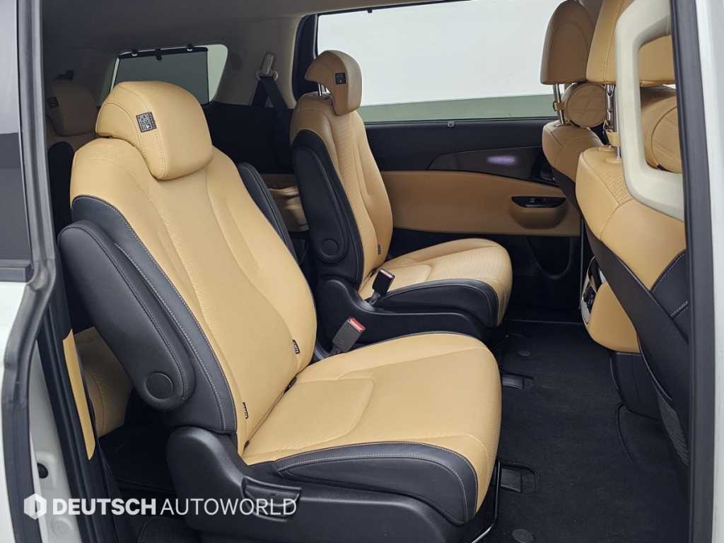 KIA Carnival - Vista 12