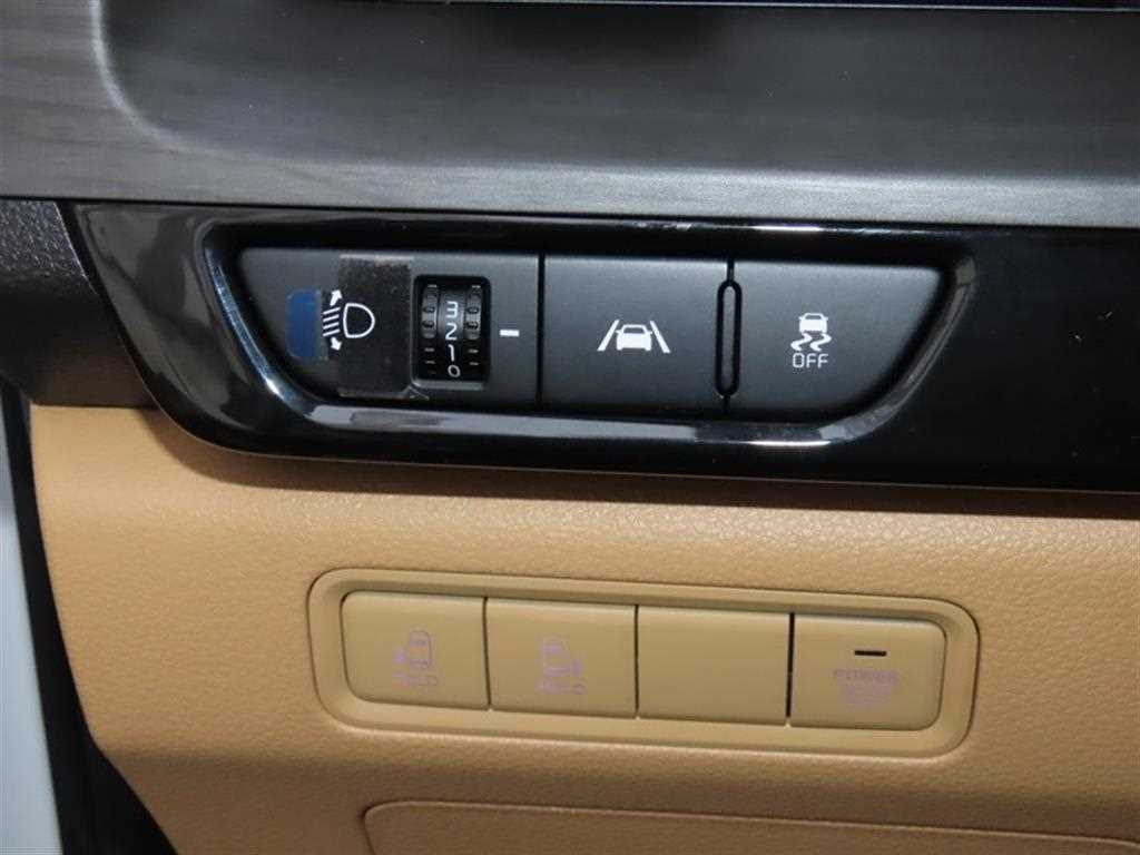 KIA Carnival - Vista 12