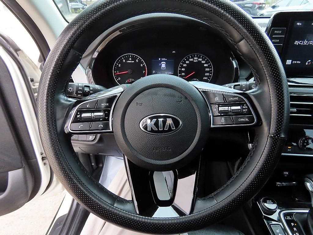 KIA Seltos - Vista 8