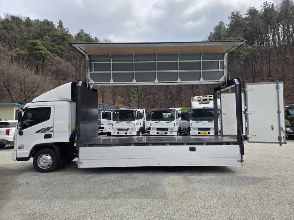 medium and large cargo truck - Vista 12