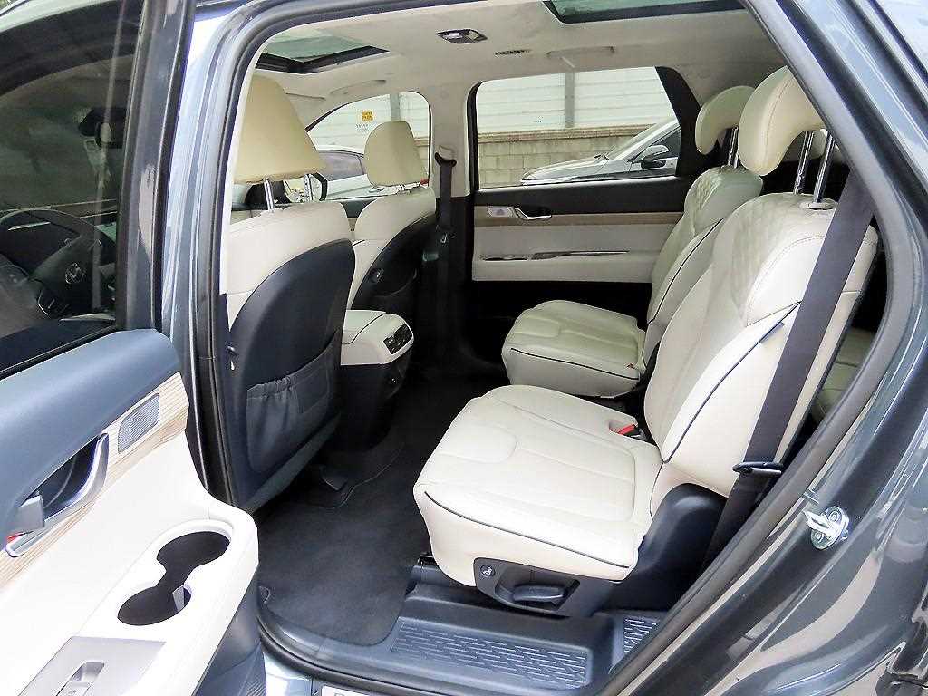 HYUNDAI Palisade - Vista 6