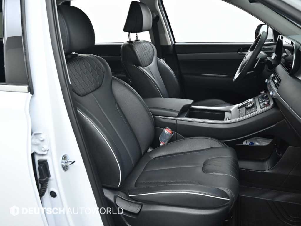 HYUNDAI Palisade - Vista 10