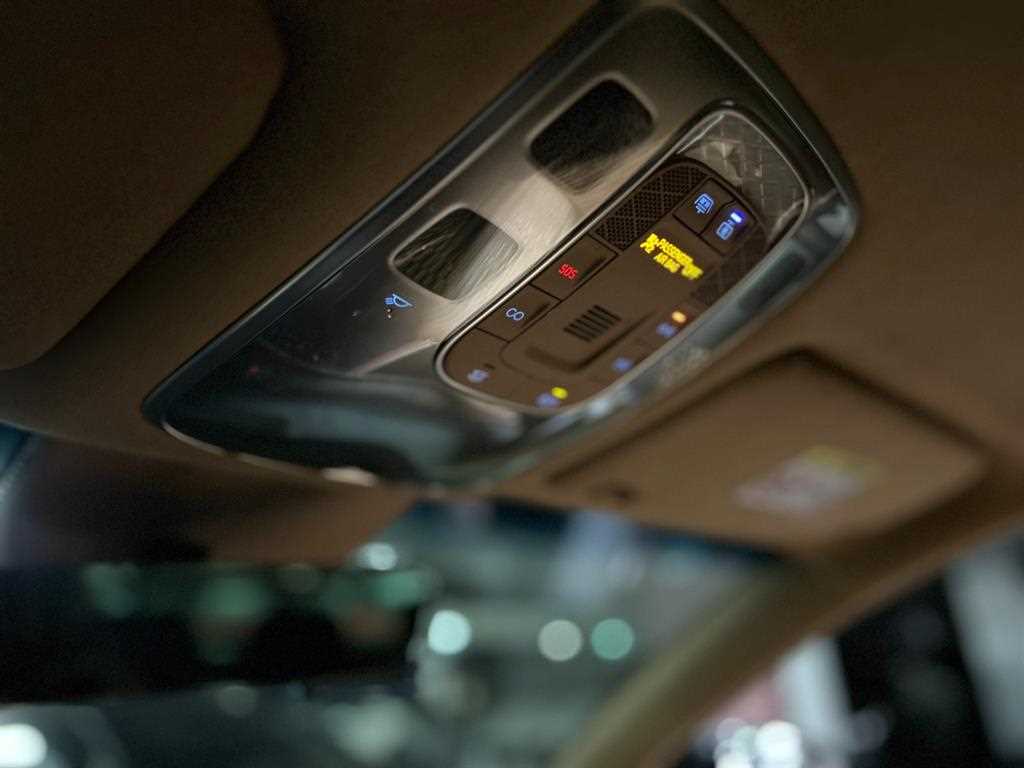 Genesis G80 - Vista 12