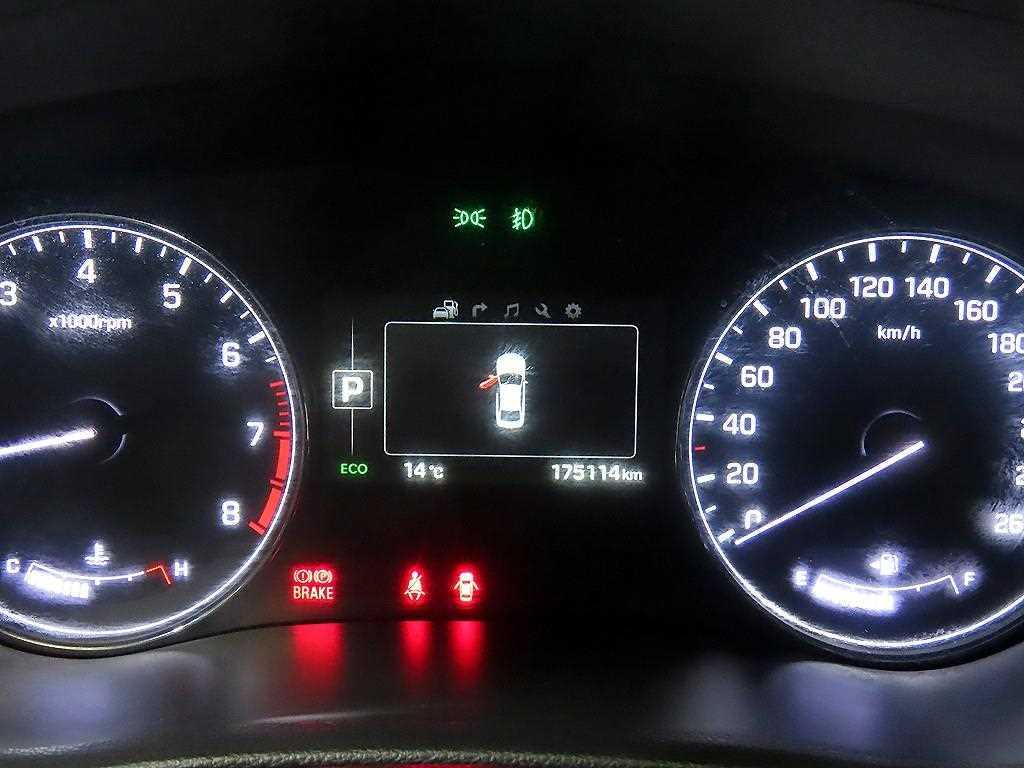 HYUNDAI Genesis - Vista 9