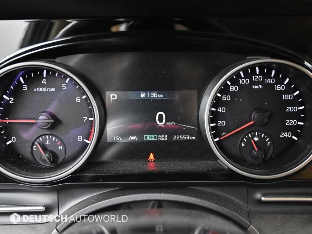 KIA Carnival - Vista 8