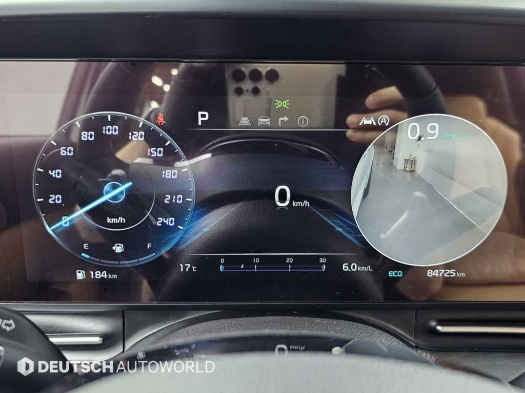 KIA Carnival - Vista 8