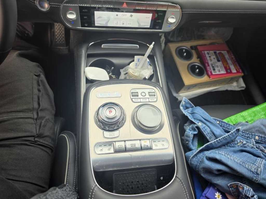 Genesis G90 - Vista 12