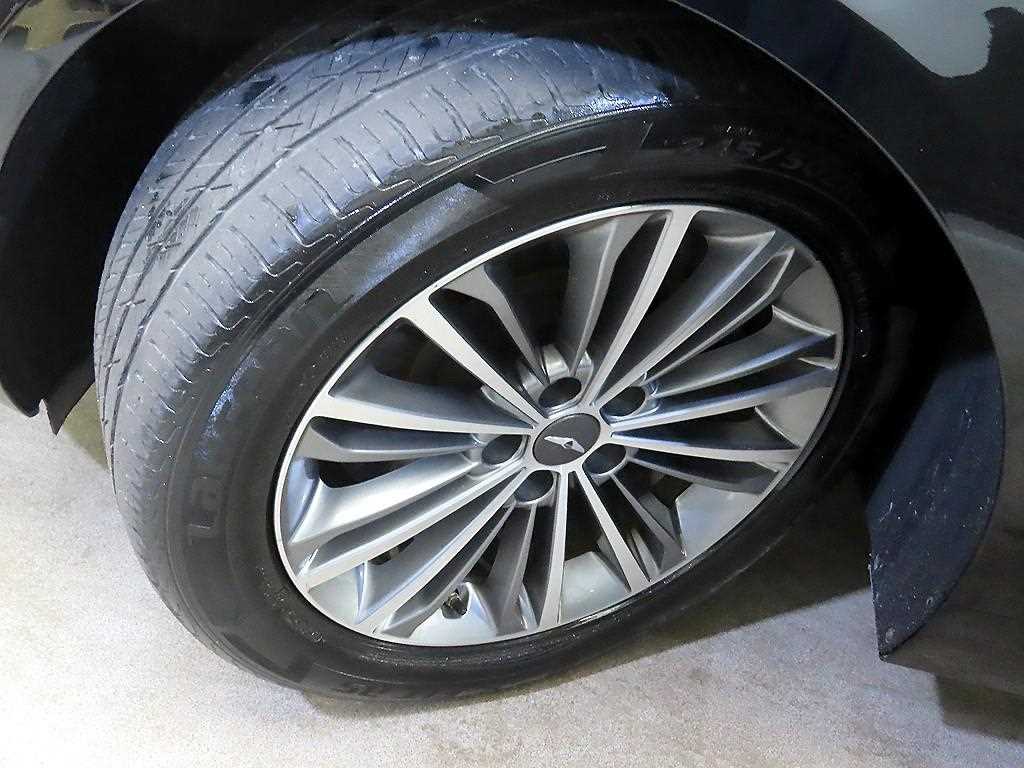 Genesis EQ900 2017 Negro - Importación desde Corea - HF Imports Iquique - Foto 20