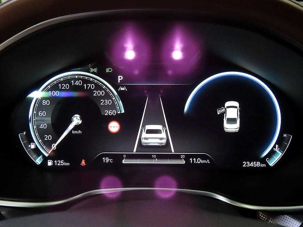 Genesis G80 - Vista 9