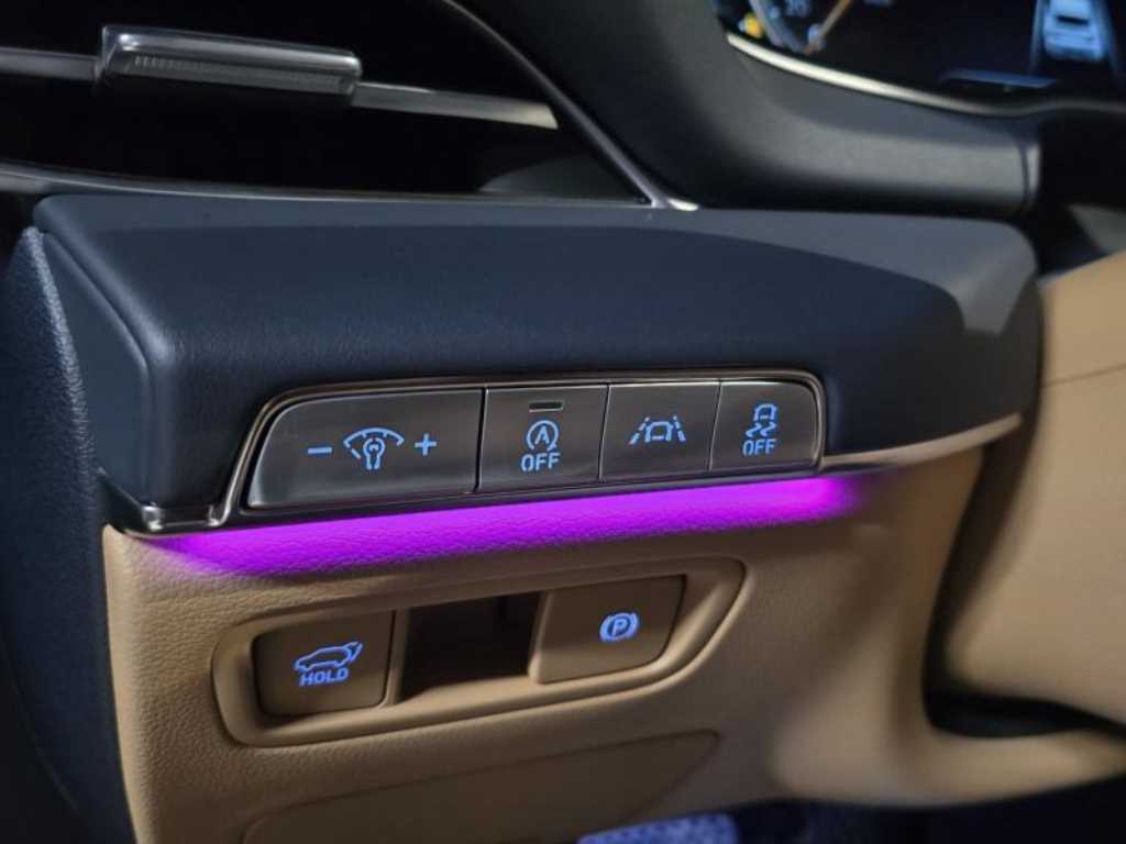 Genesis GV80 - Vista 12