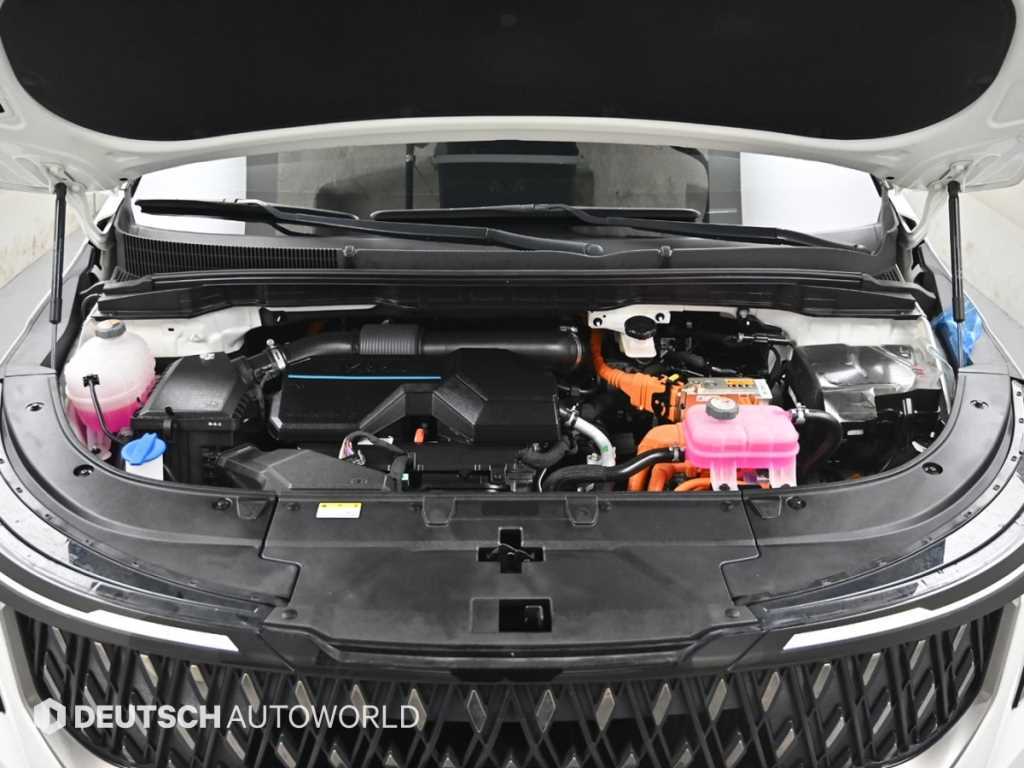 KIA Carnival - Vista 6