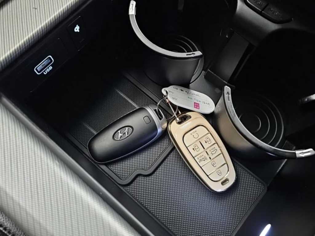 HYUNDAI Palisade - Vista 12