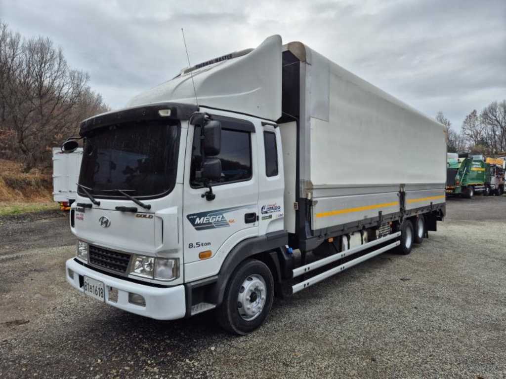 medium and large cargo truck - Vista 3