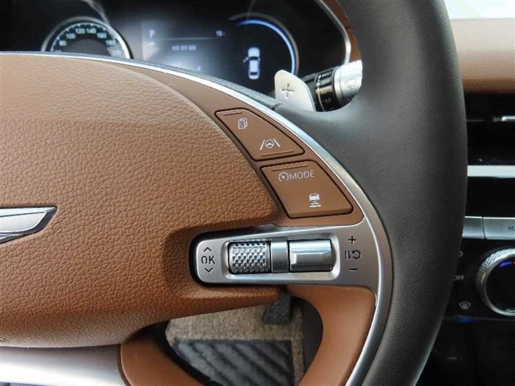 Genesis G80 - Vista 11