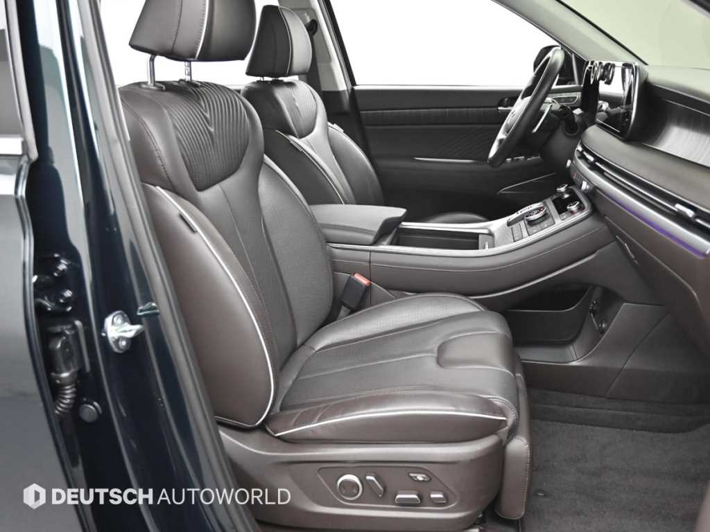 HYUNDAI Palisade - Vista 10