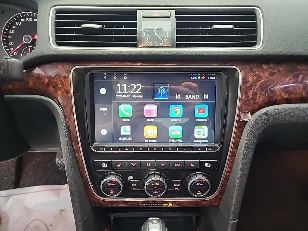 Volkswagen Passat - Vista 10