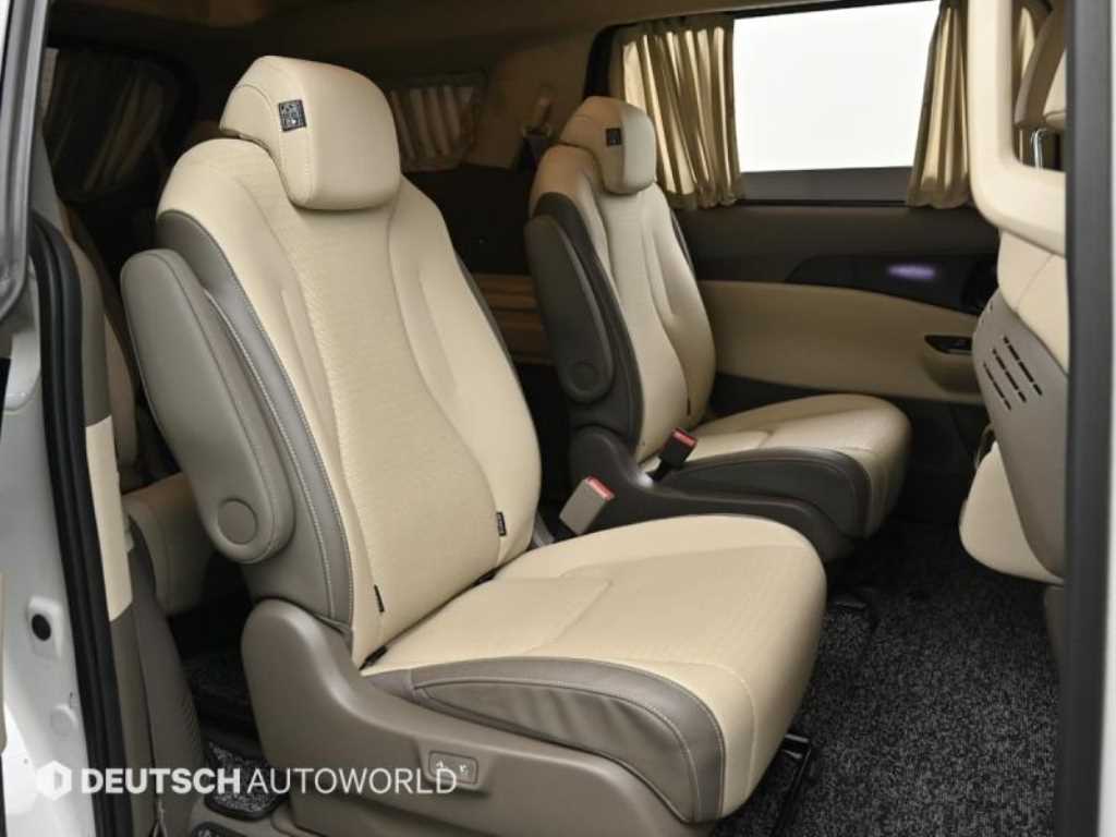 KIA Carnival - Vista 12
