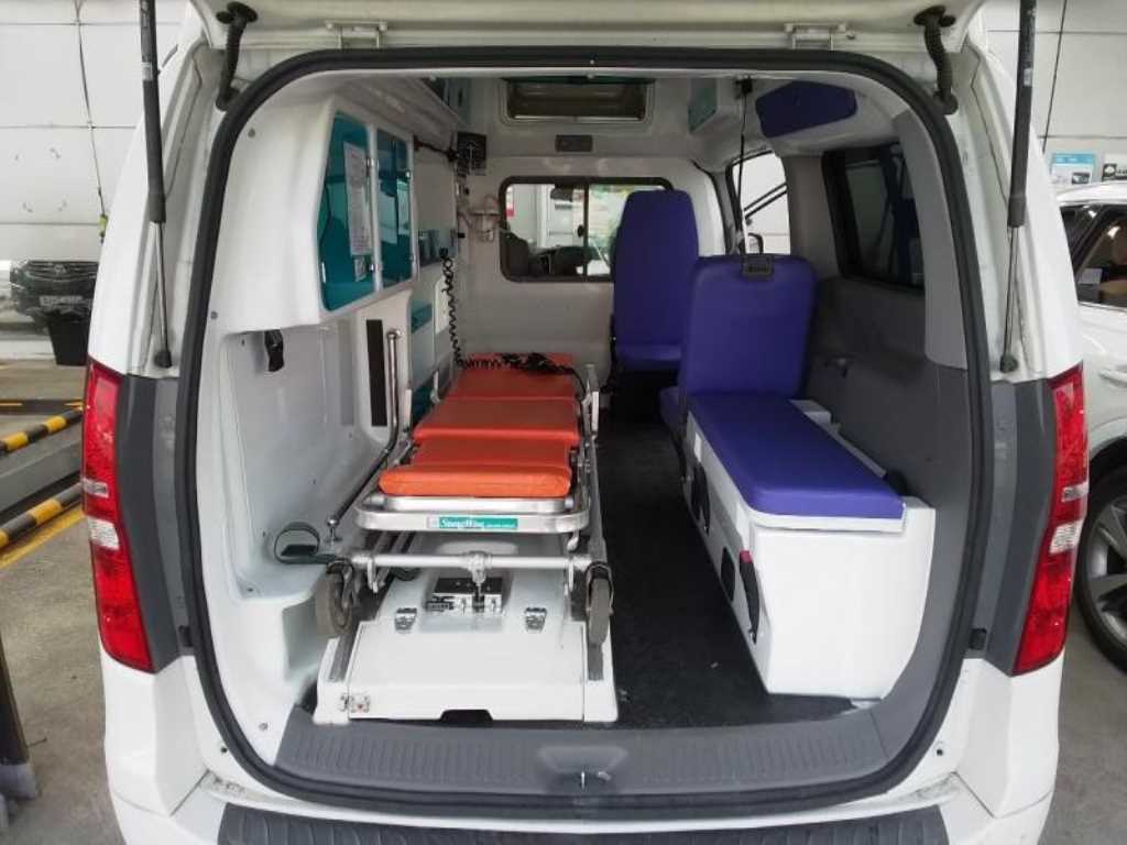 HYUNDAI Starex - Vista 7