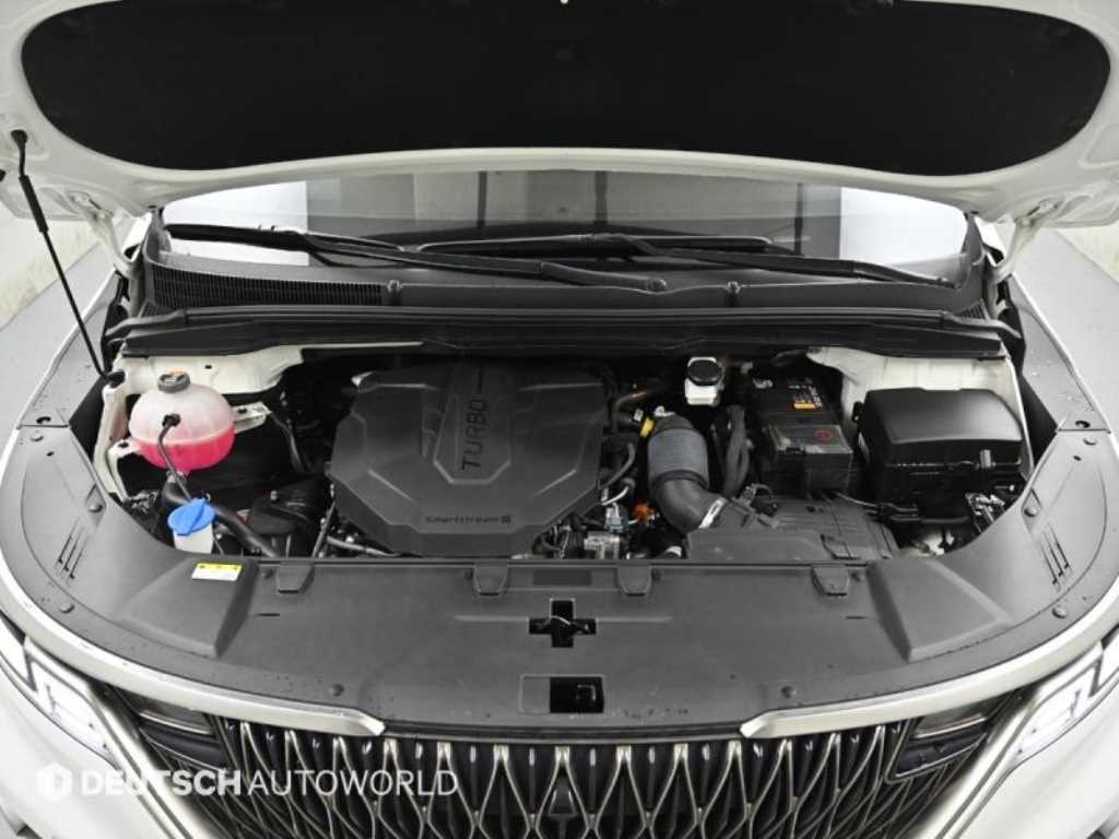 KIA Carnival - Vista 6