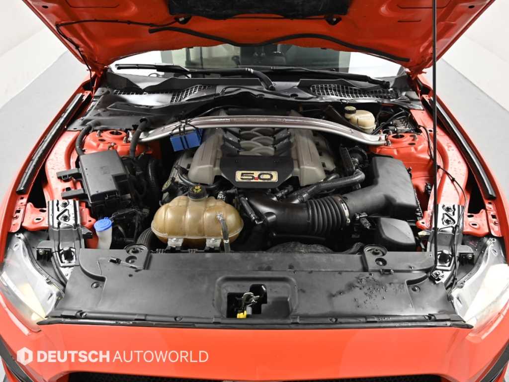 Ford Mustang - Vista 7