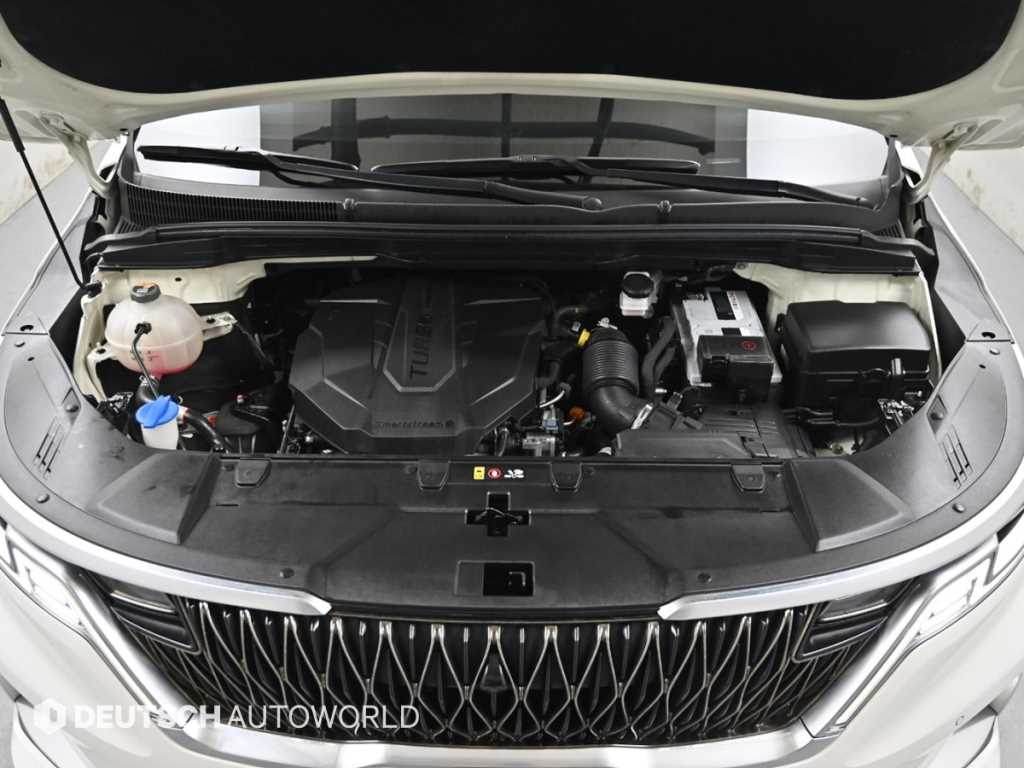 KIA Carnival - Vista 6