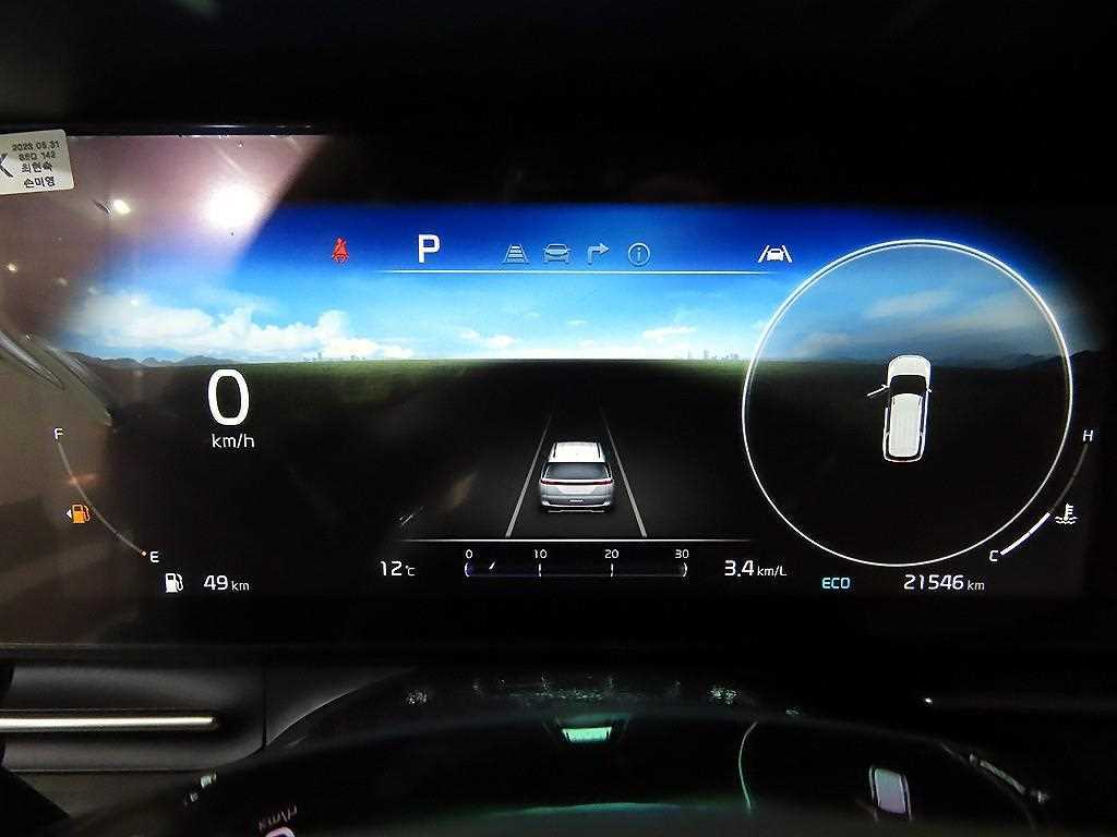 KIA Carnival - Vista 9