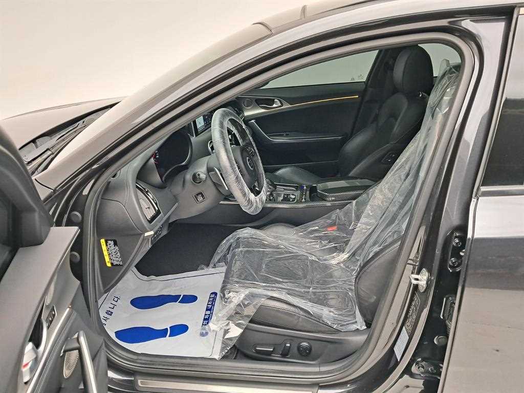 KIA Stinger - Vista 11