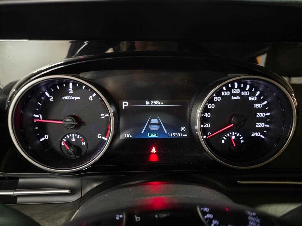 KIA Carnival - Vista 11