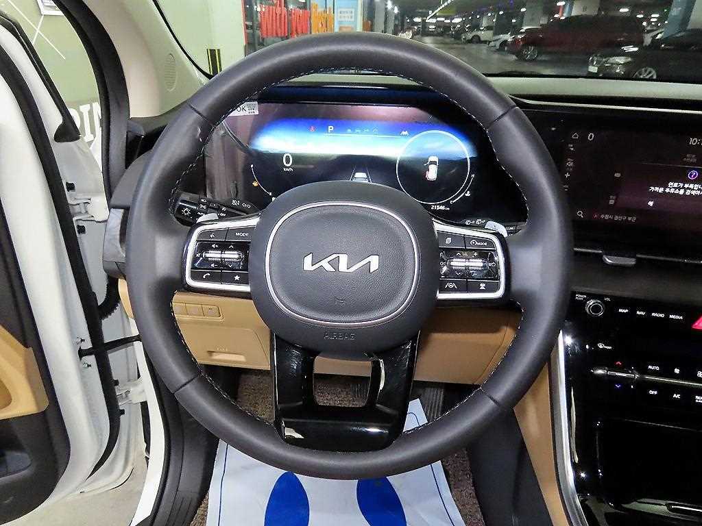 KIA Carnival - Vista 8