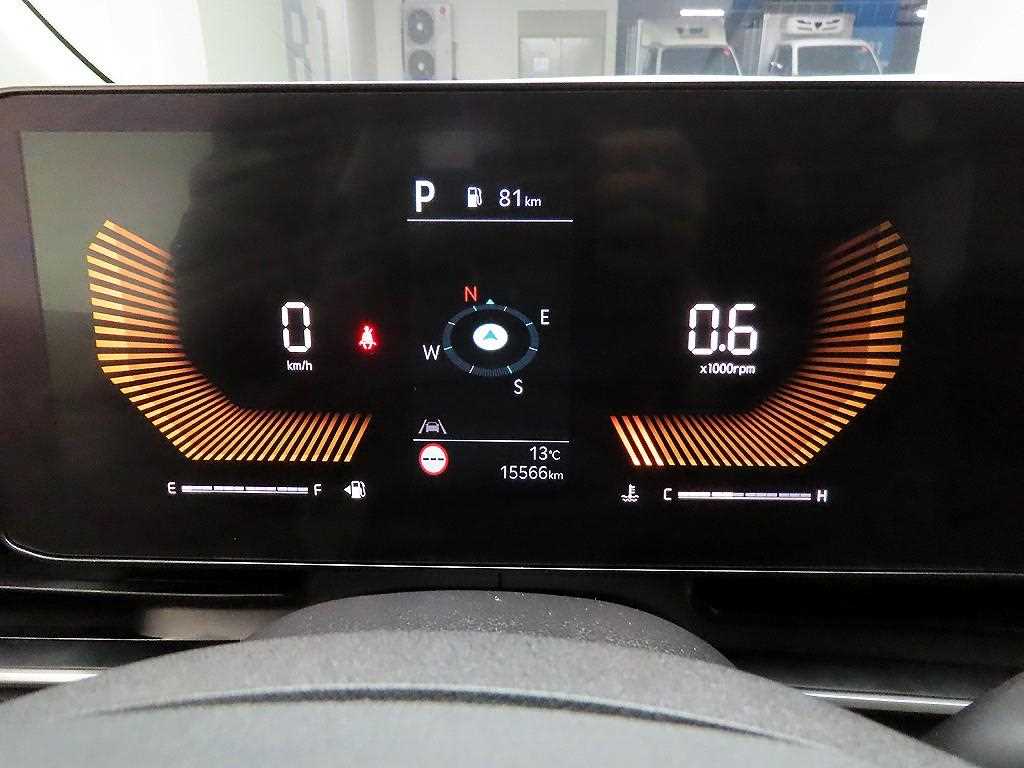 KIA Carnival - Vista 6