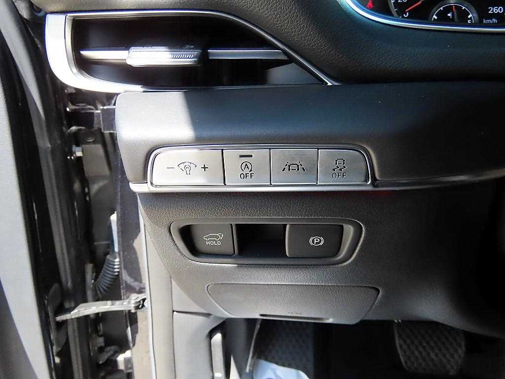 Genesis GV80 - Vista 12