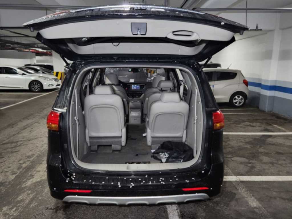 KIA Carnival - Vista 11