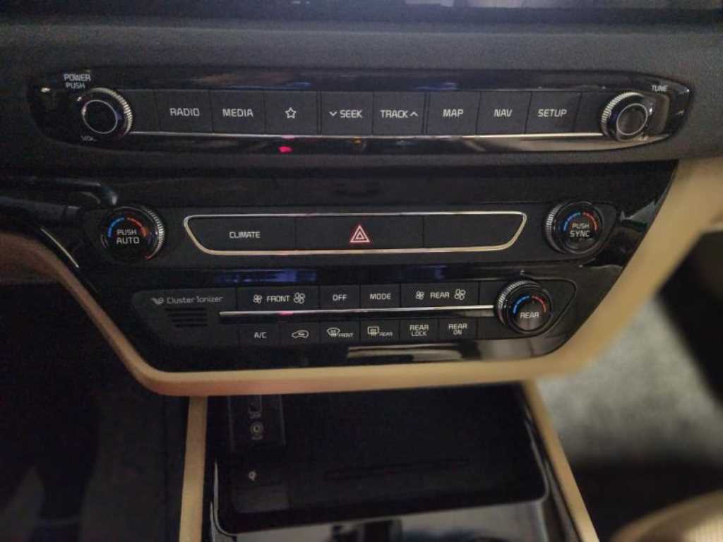 KIA Carnival - Vista 12