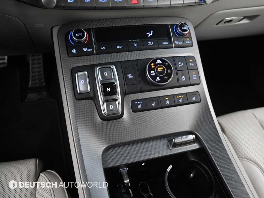 HYUNDAI Palisade - Vista 9