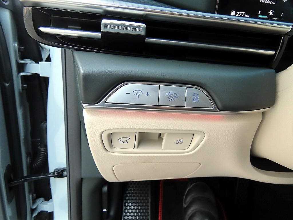 Genesis GV80 - Vista 12