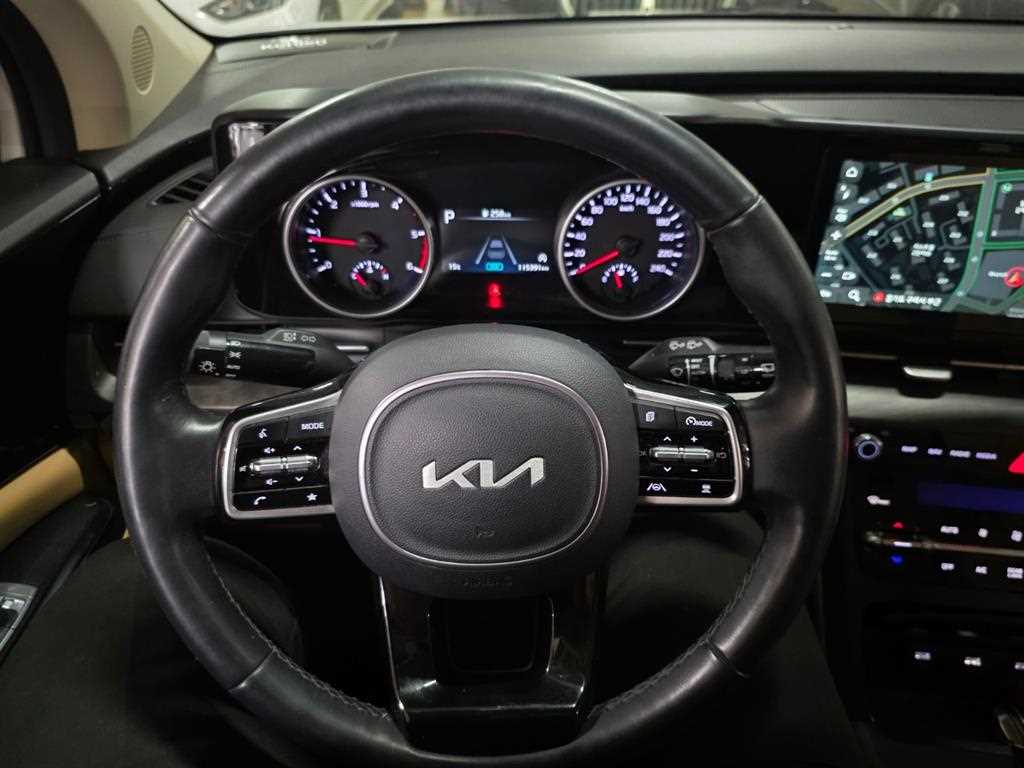 KIA Carnival - Vista 12