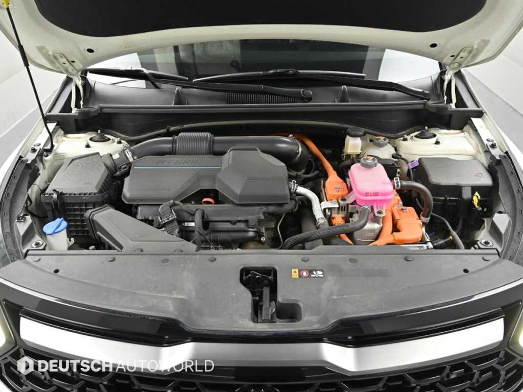 KIA Sportage - Vista 6