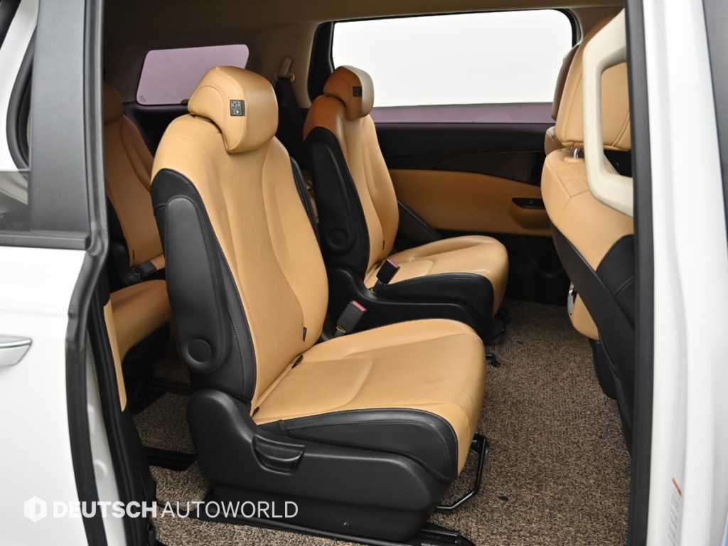 KIA Carnival - Vista 12