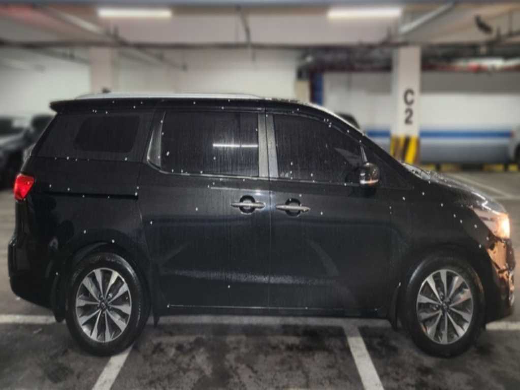 KIA Carnival - Vista 3