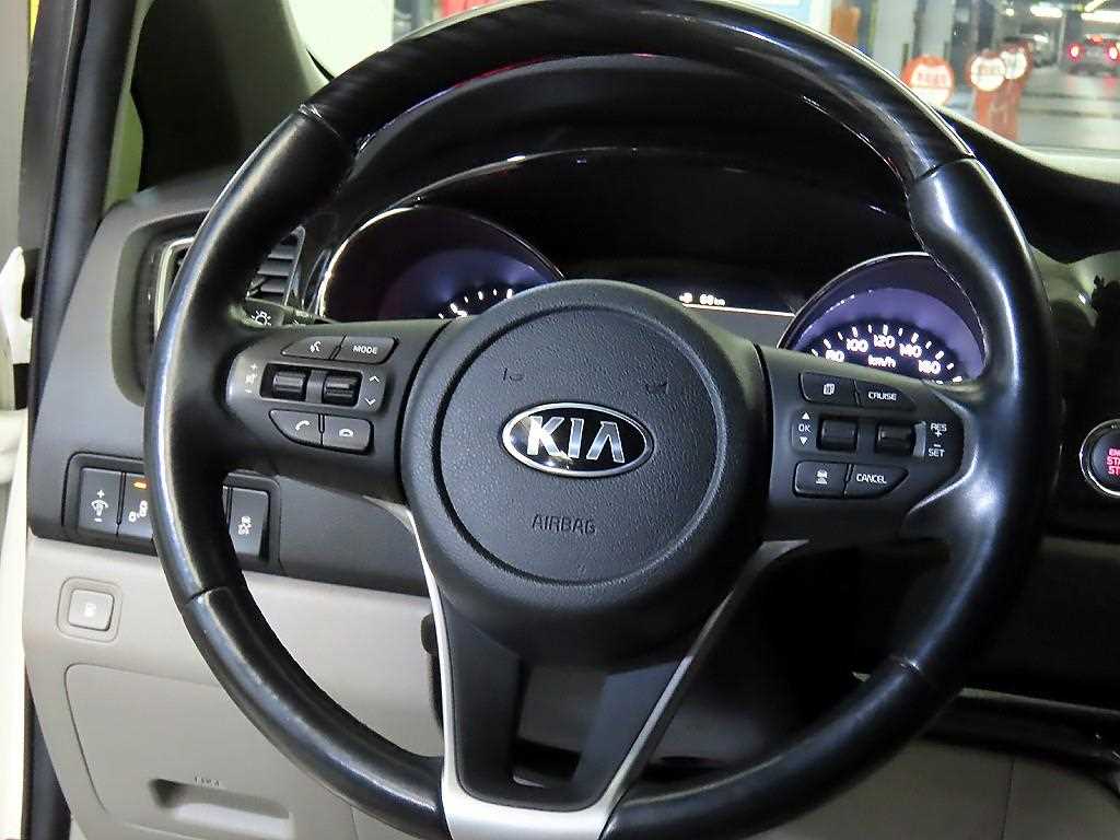 KIA Carnival - Vista 8