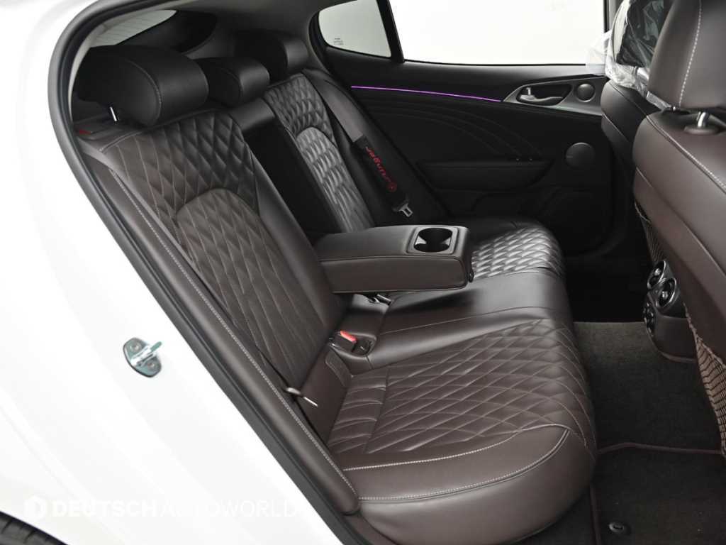 KIA Stinger - Vista 12