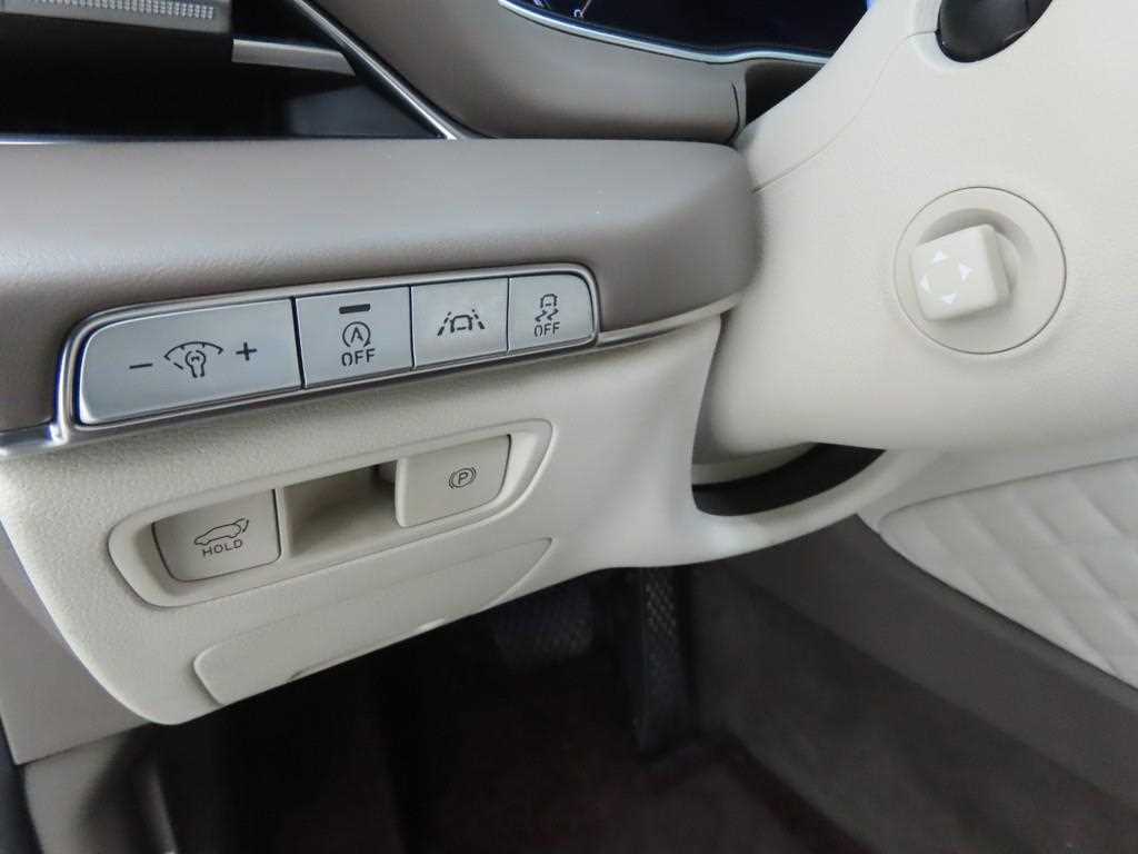 Genesis GV80 - Vista 10